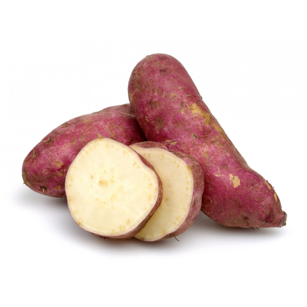 Batata doce